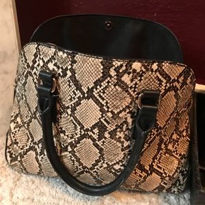 Snake skin purse